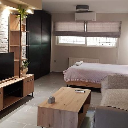 Lefkaditika Luxury Apartment プレベザ エクステリア 写真