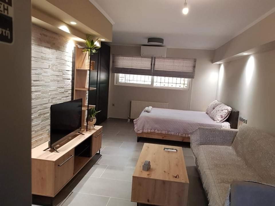Lefkaditika Luxury Apartment プレベザ エクステリア 写真