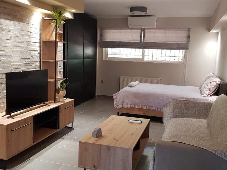 Lefkaditika Luxury Apartment プレベザ エクステリア 写真